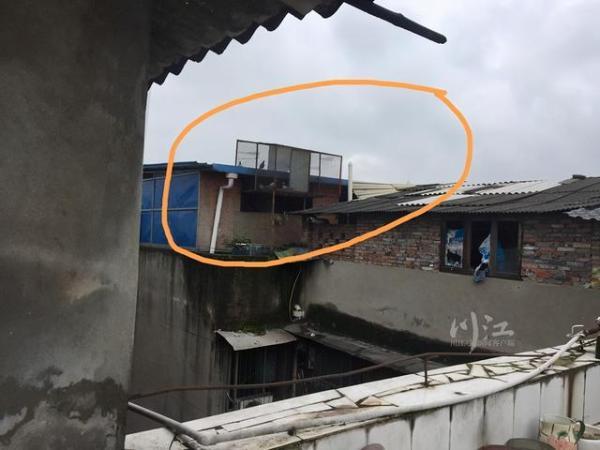泸州一居民楼顶建70平米鸽笼鸽粪堆积一层
