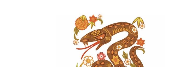 风水堂：梦见死蛇有什么预兆？