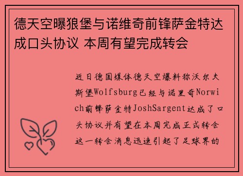 德天空曝狼堡与诺维奇前锋萨金特达成口头协议 本周有望完成转会