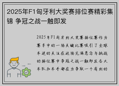 2025年F1匈牙利大奖赛排位赛精彩集锦 争冠之战一触即发